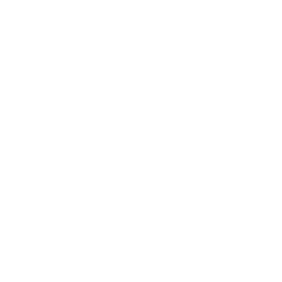 Detova Labs